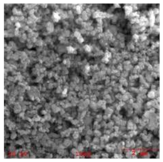 Coatings 11 00296 i002