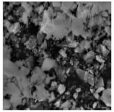 Coatings 11 00296 i003