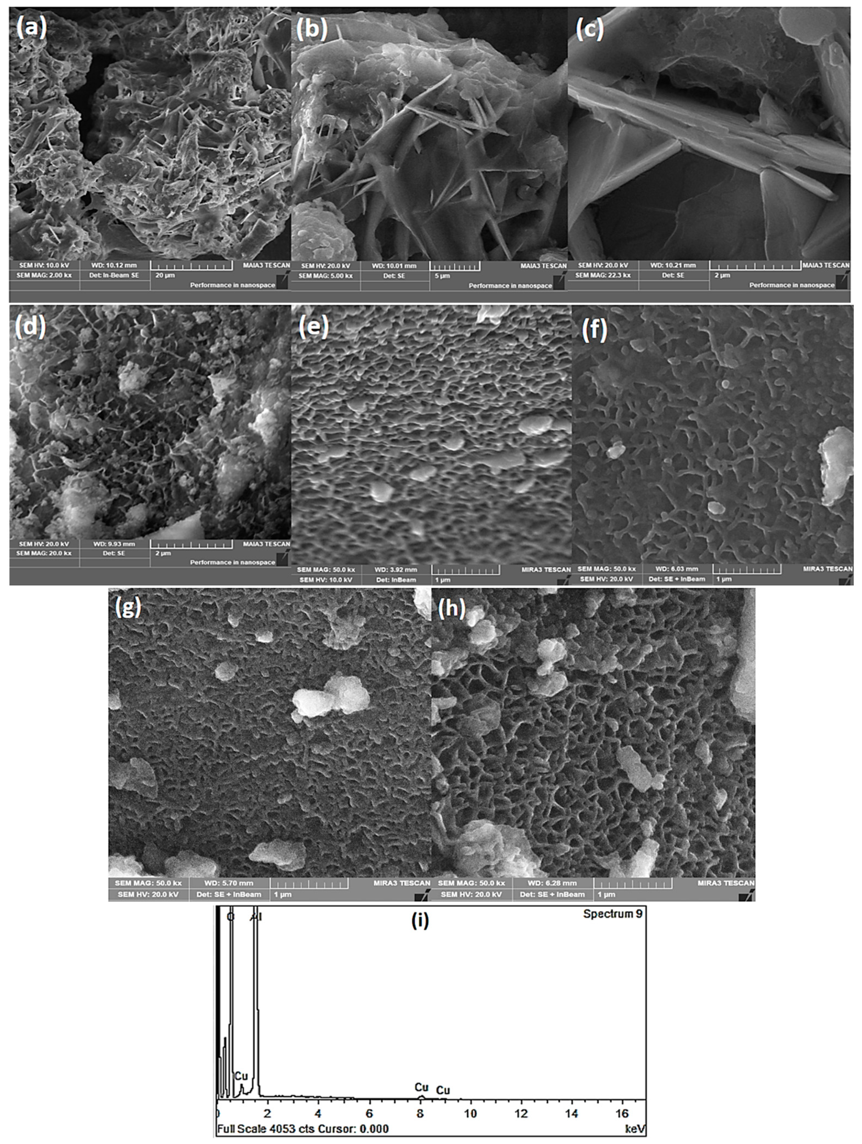 Coatings 11 00313 g003 Coatings 11 00313 g003