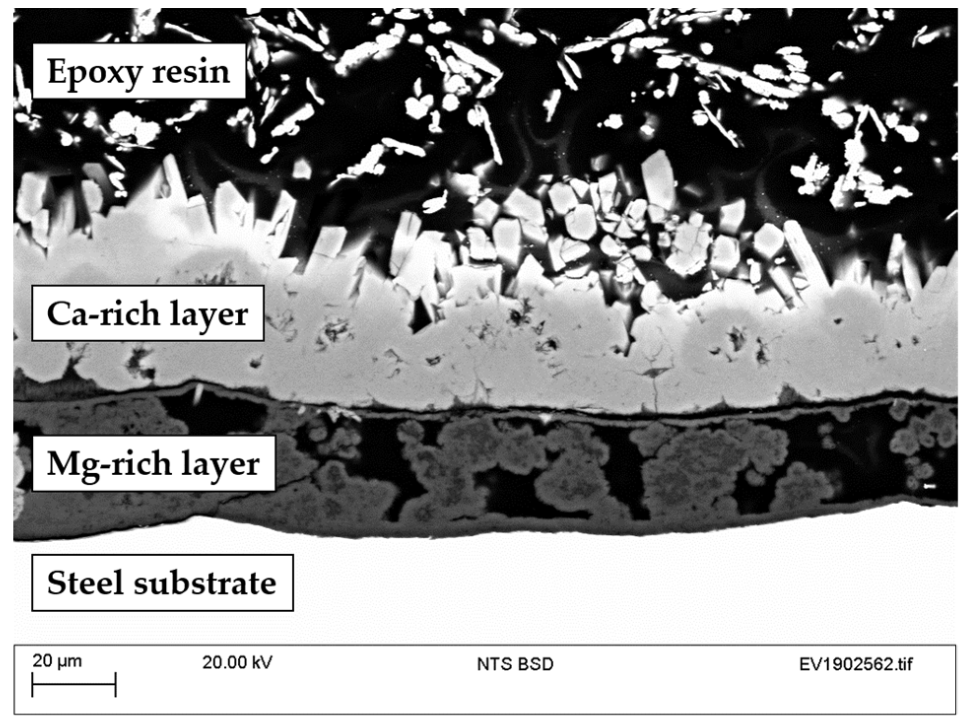 Coatings 11 00320 g008