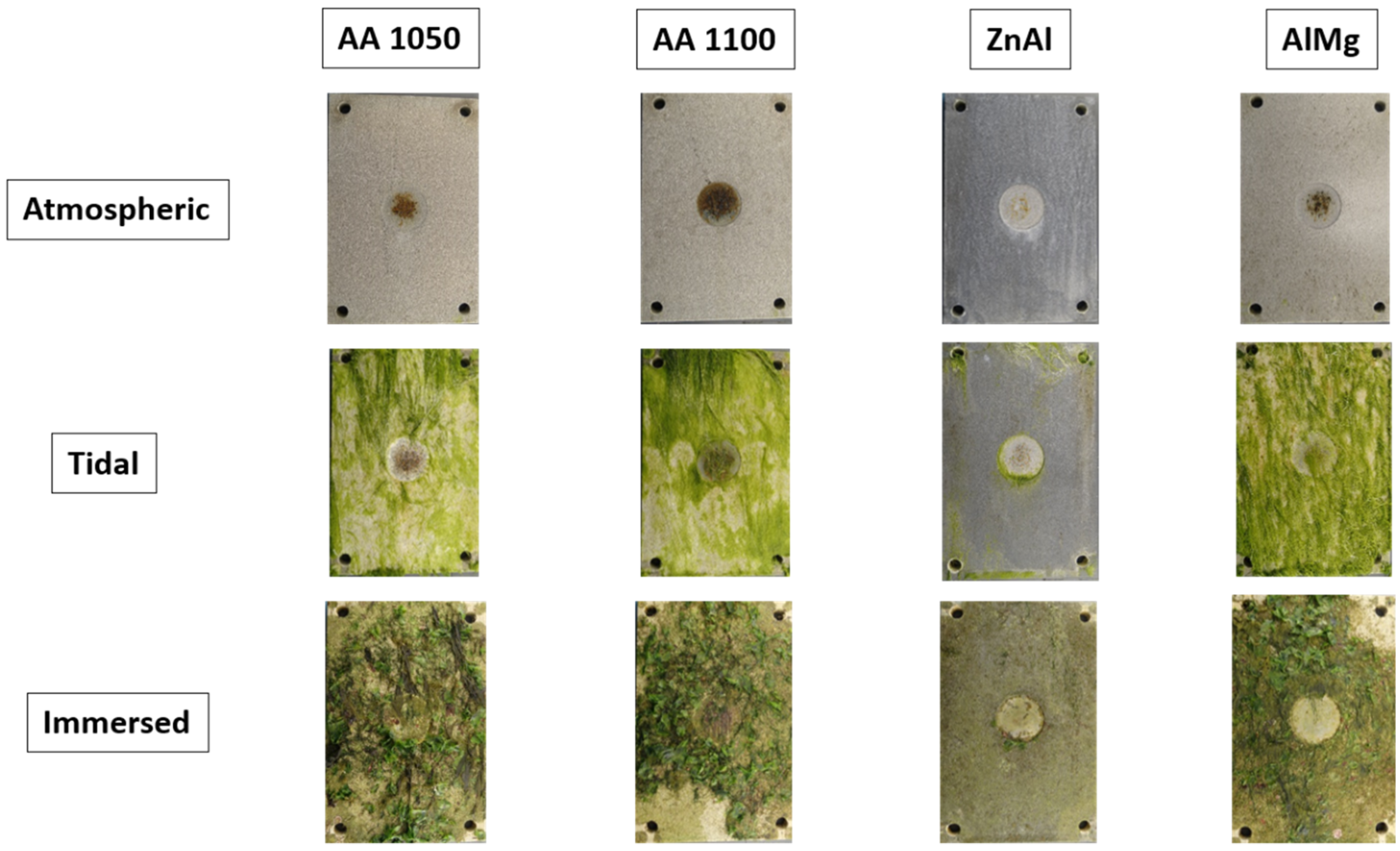 Coatings 11 00320 g011