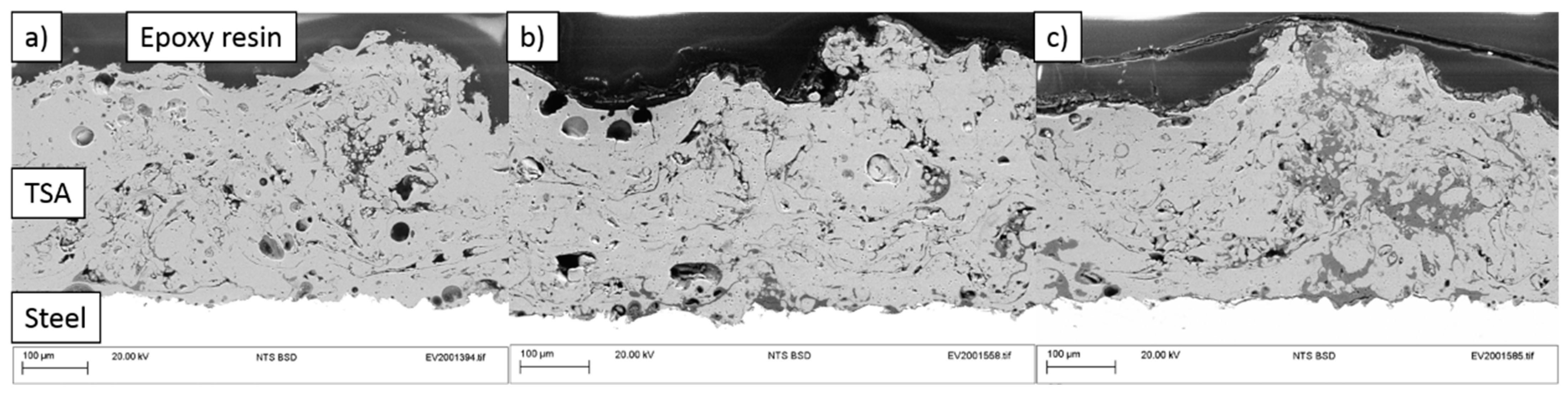 Coatings 11 00320 g013