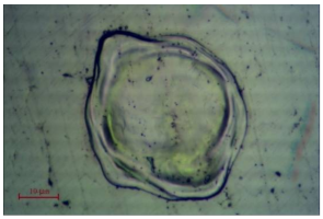 Coatings 11 00322 g003