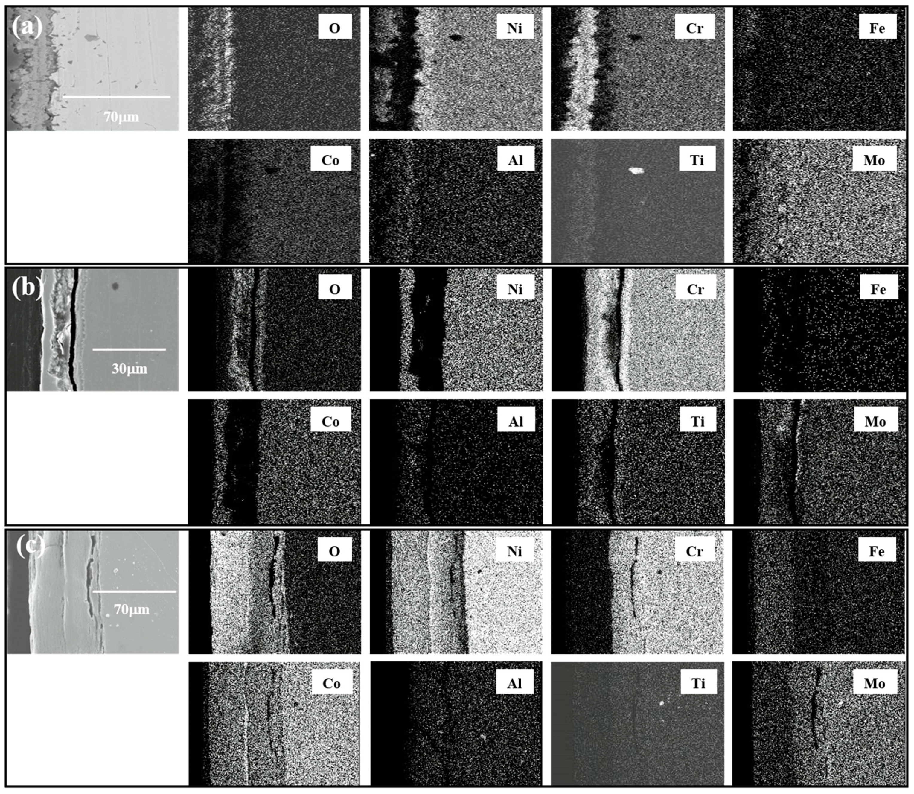 Coatings 11 00328 g005