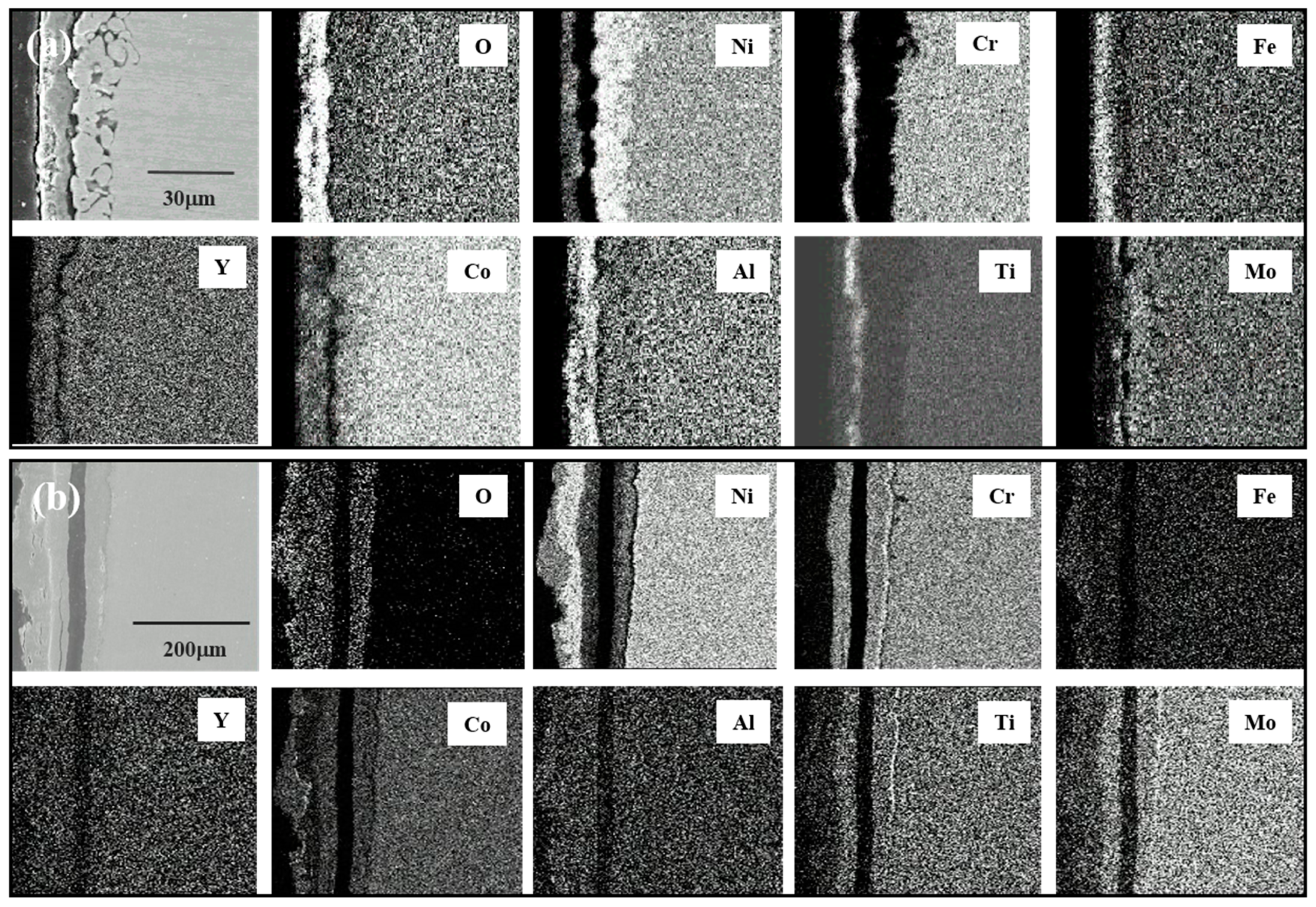 Coatings 11 00328 g007