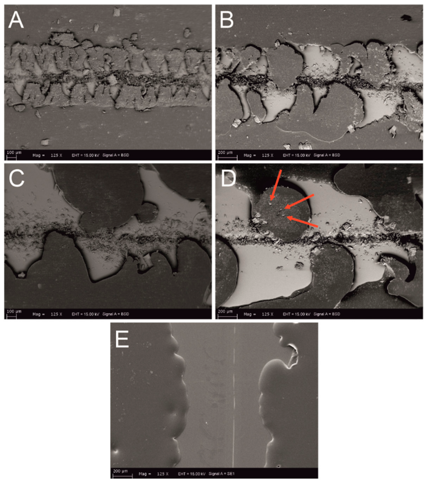 Coatings 11 00340 g004