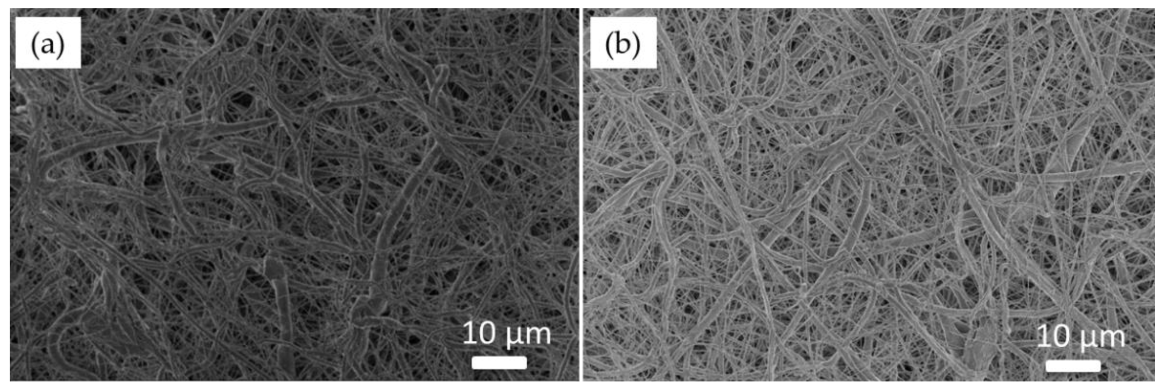 Coatings 11 00345 g002
