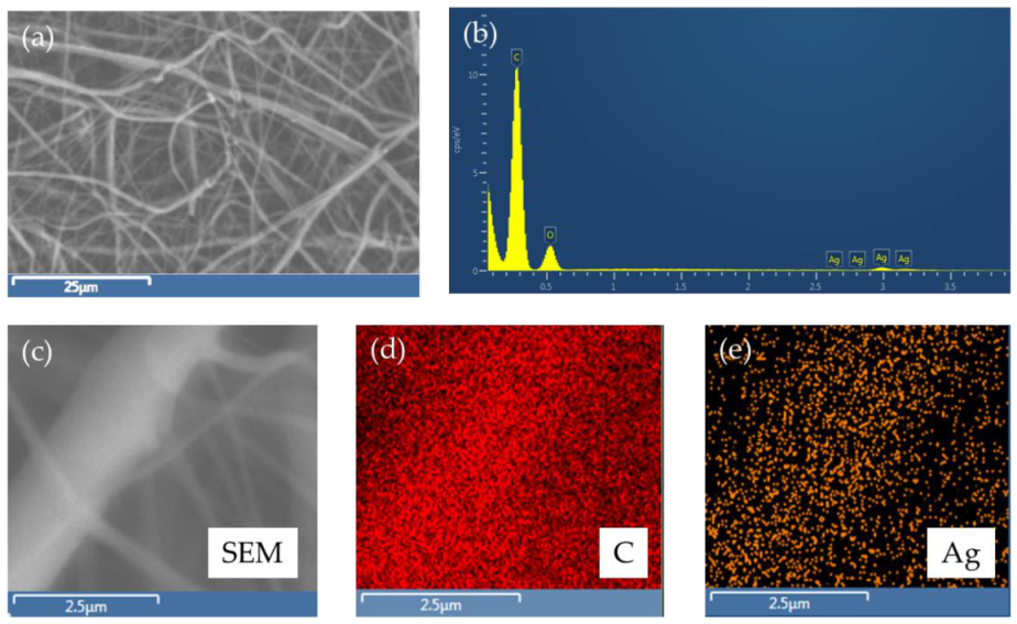 Coatings 11 00345 g004