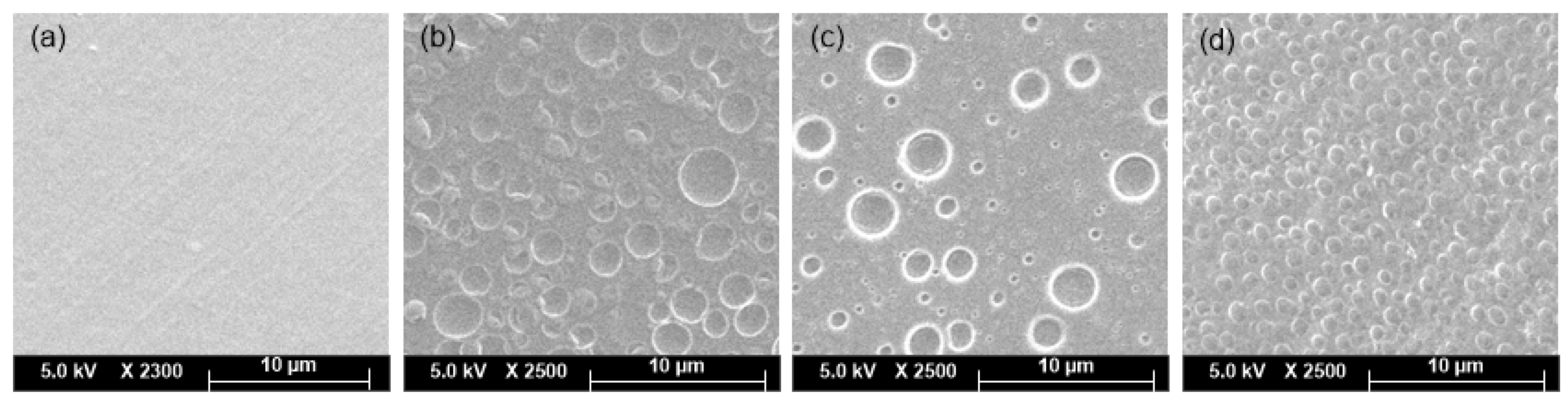 Coatings 11 00351 g004