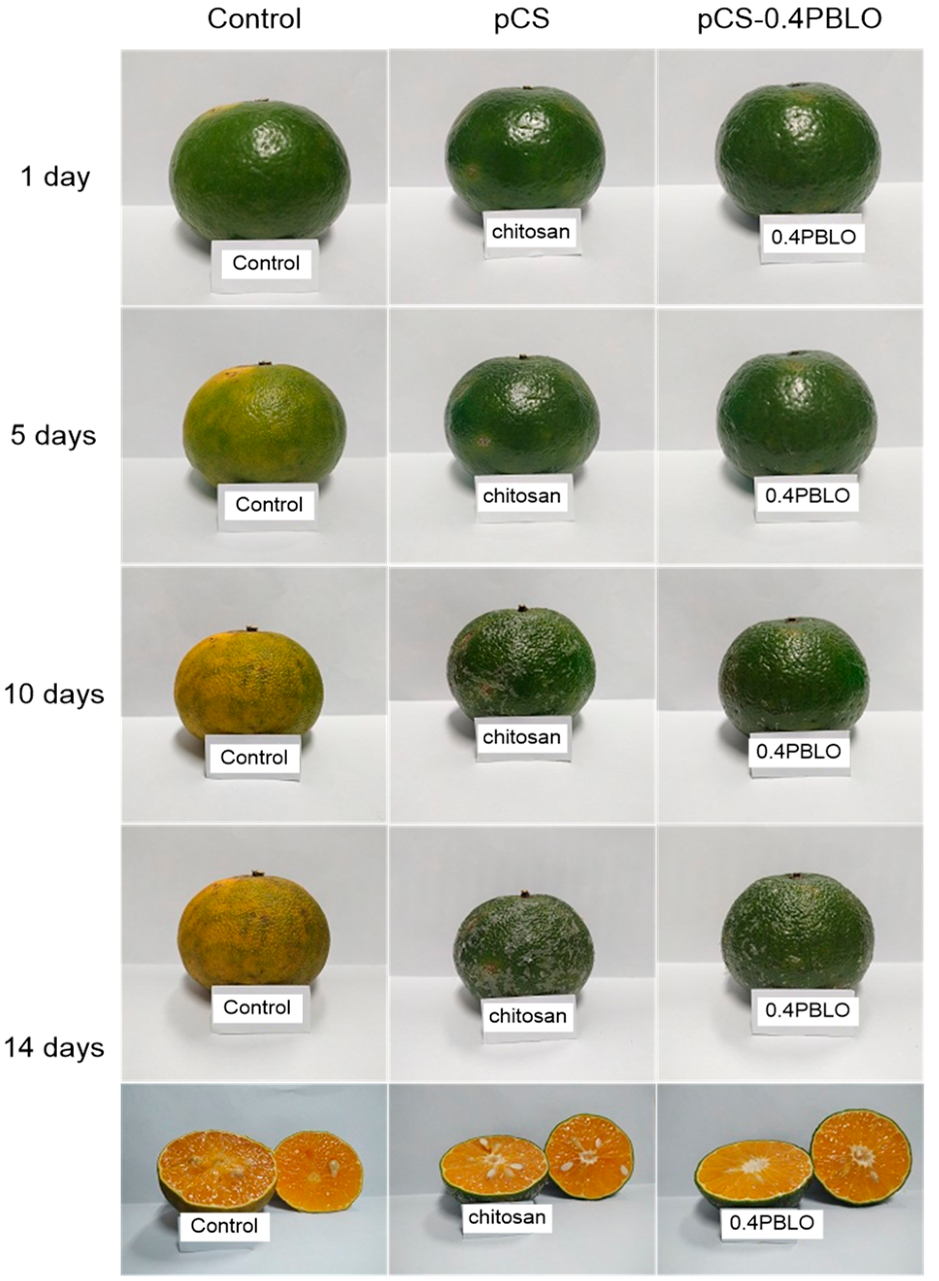Coatings 11 00351 g007