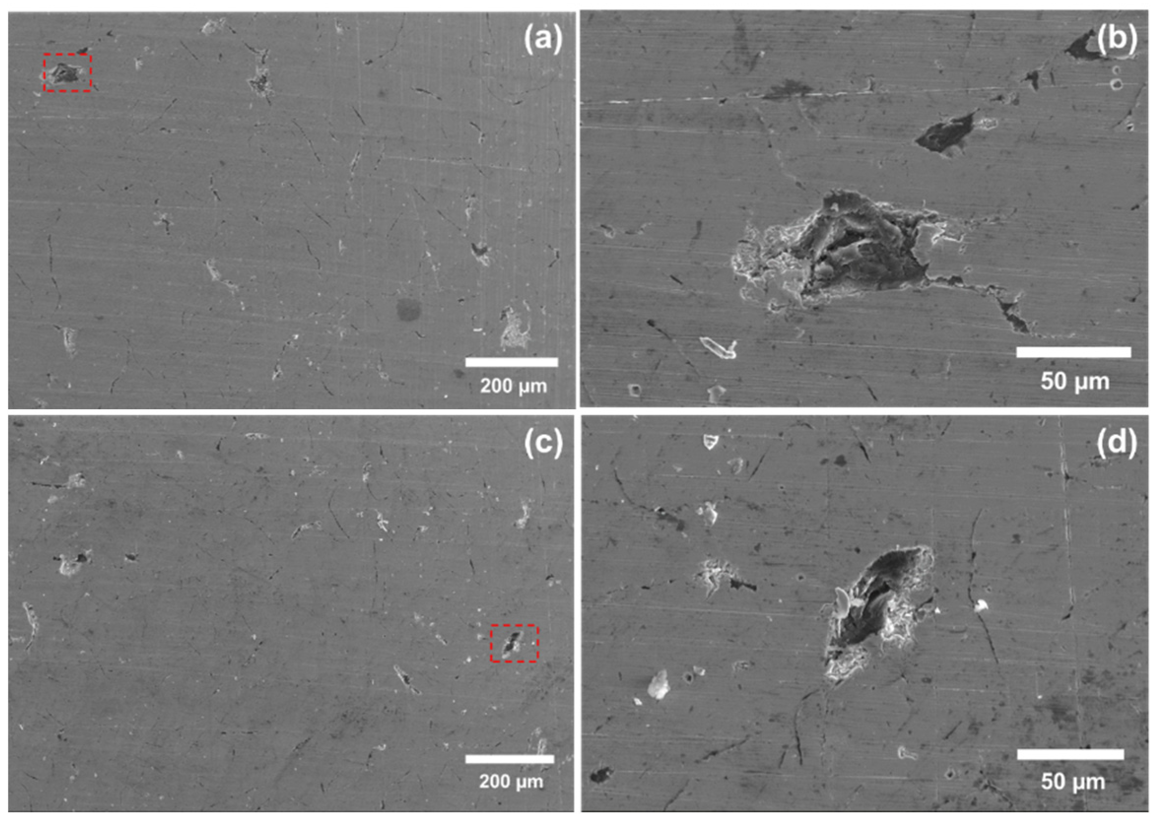 Coatings 11 00357 g008 Coatings 11 00357 g008