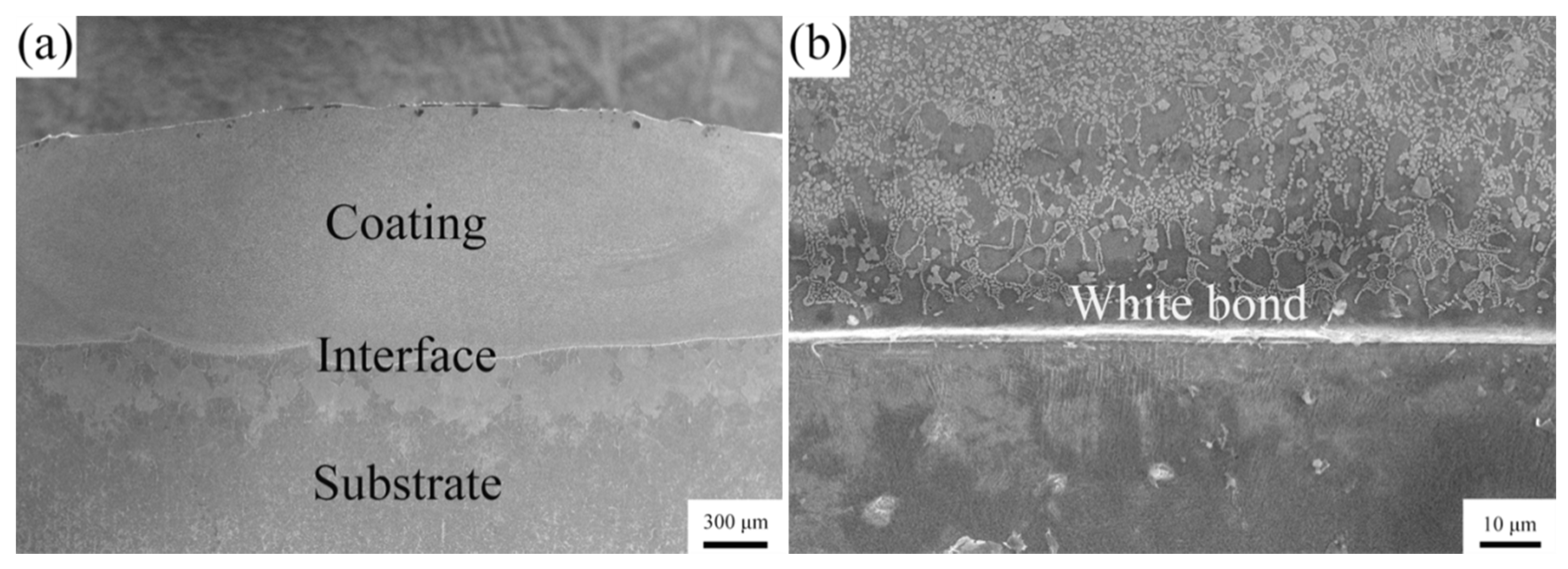 Coatings 11 00358 g002