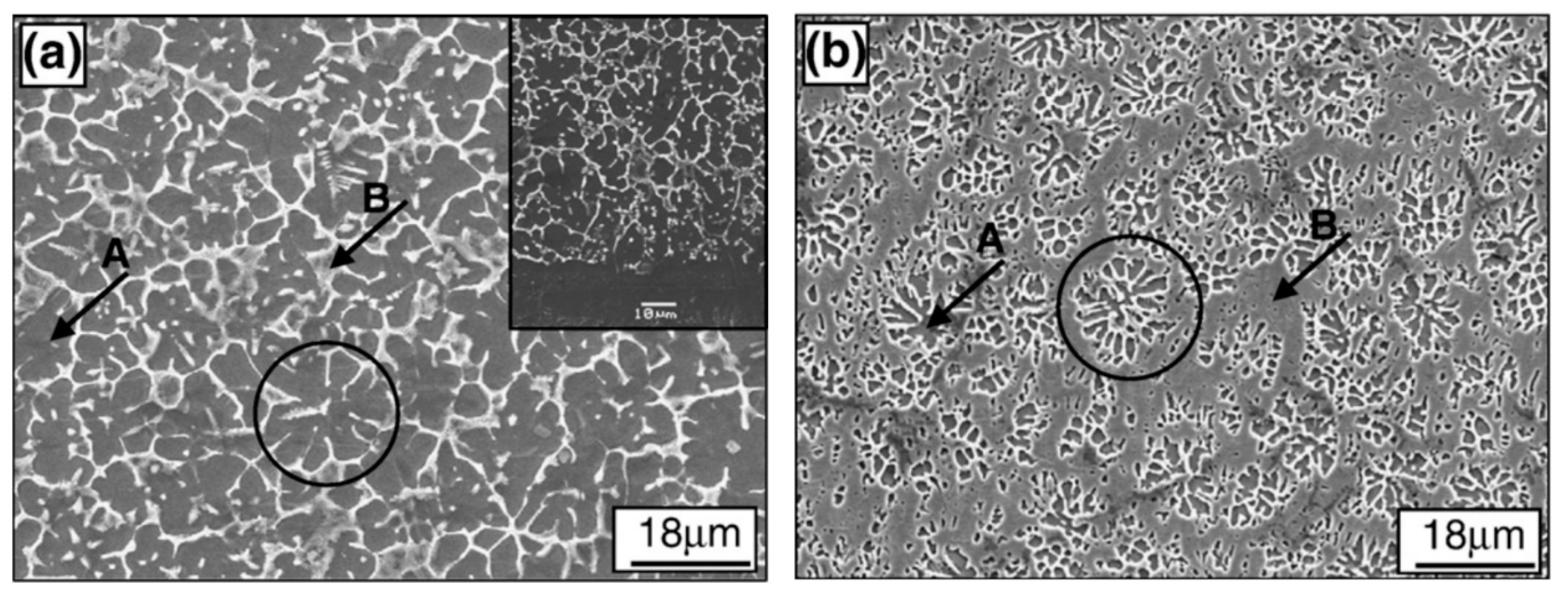 Coatings 11 00372 g006