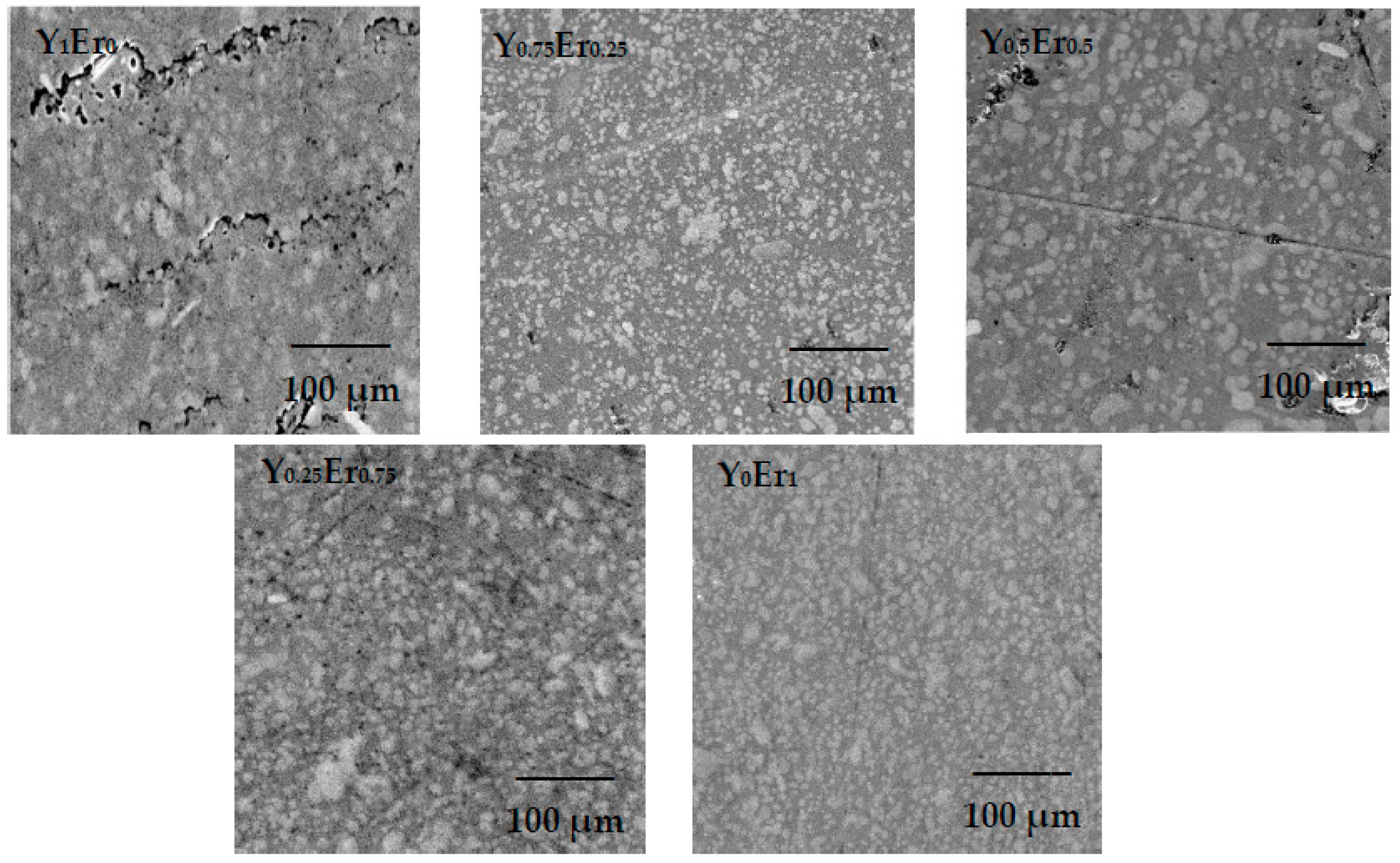 Coatings 11 00377 g004