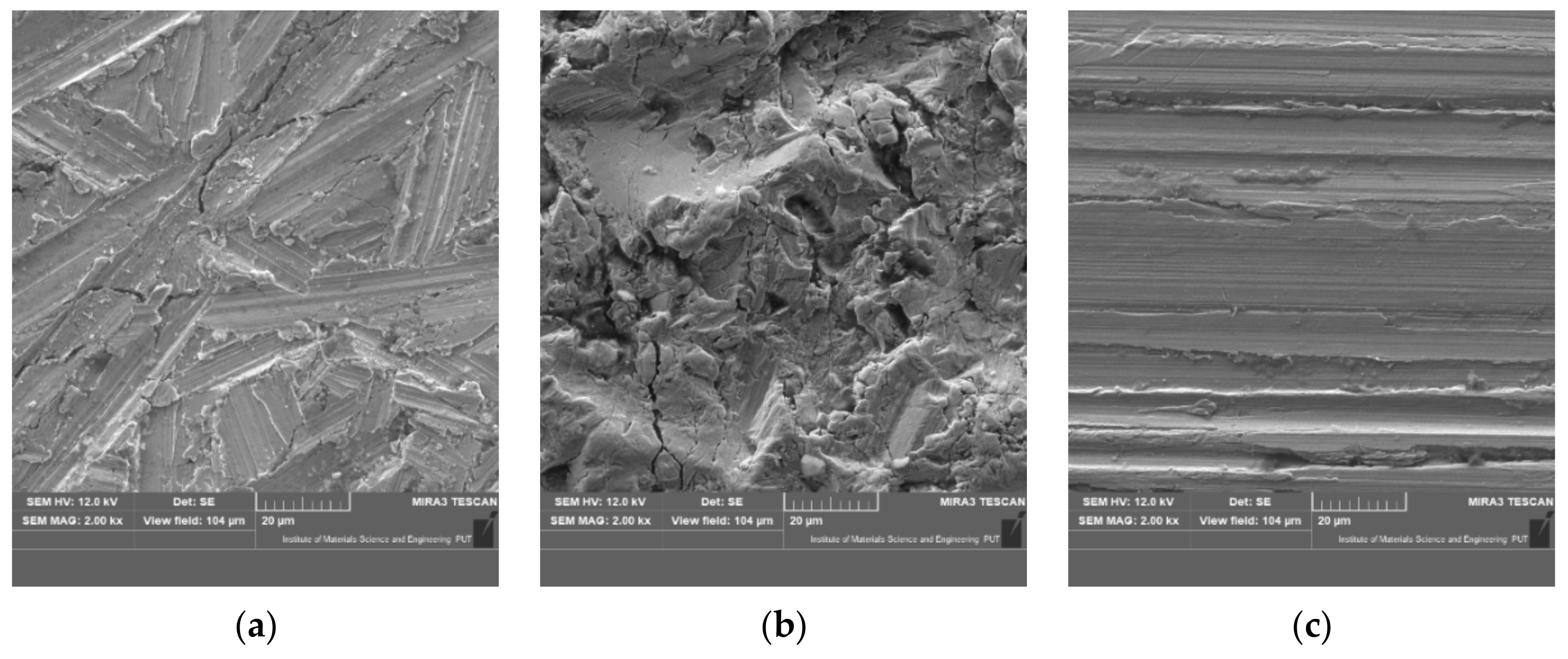 Coatings 11 00384 g010