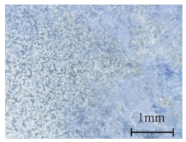 Coatings 11 00384 i001