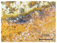 Coatings 11 00384 i004