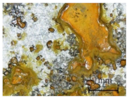 Coatings 11 00384 i005