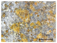 Coatings 11 00384 i006