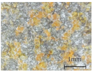 Coatings 11 00384 i010