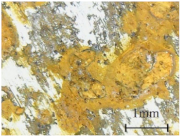 Coatings 11 00384 i013