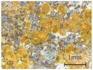 Coatings 11 00384 i014