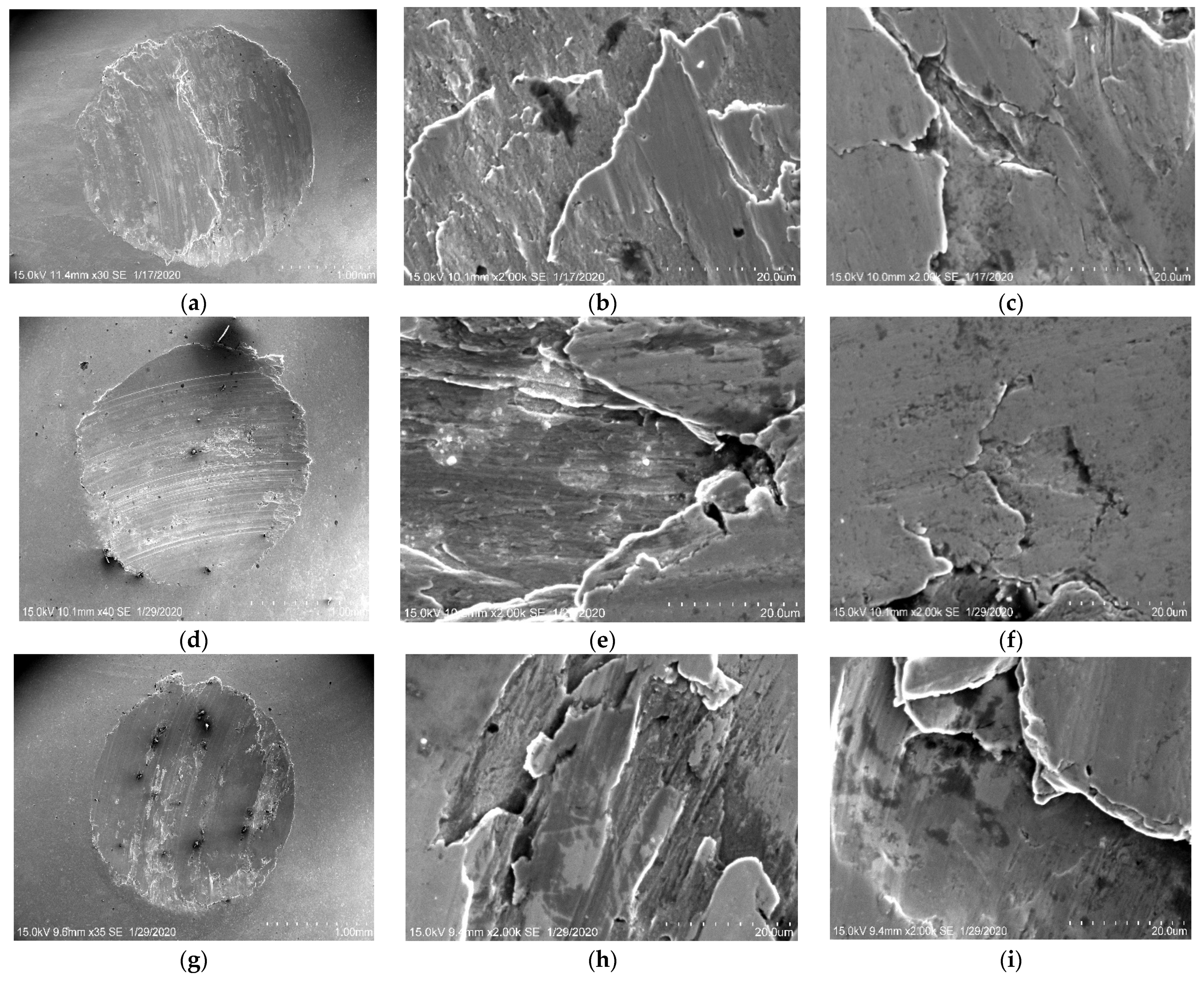Coatings 11 00386 g008a Coatings 11 00386 g008a