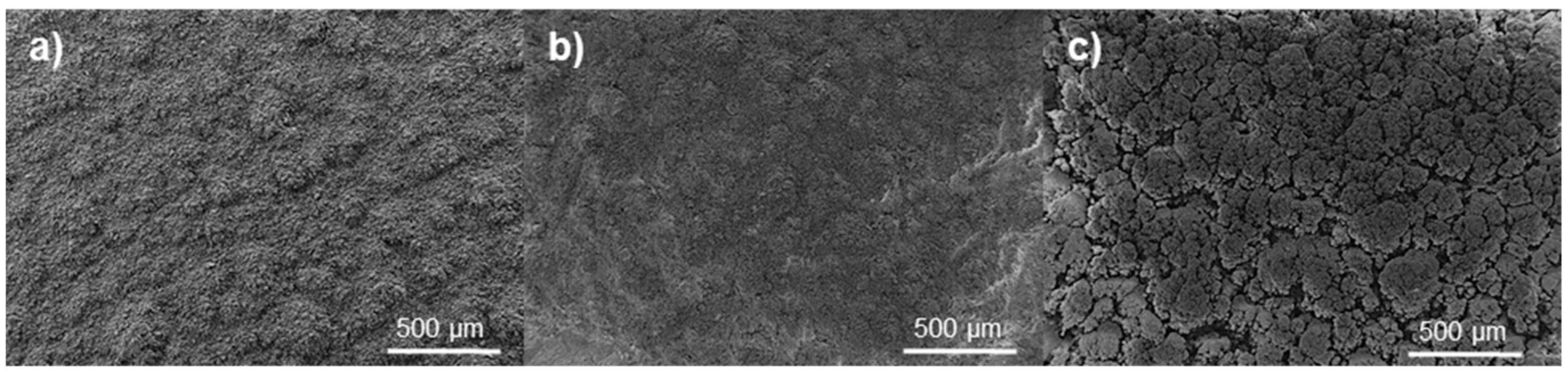 Coatings 11 00387 g001 Coatings 11 00387 g001