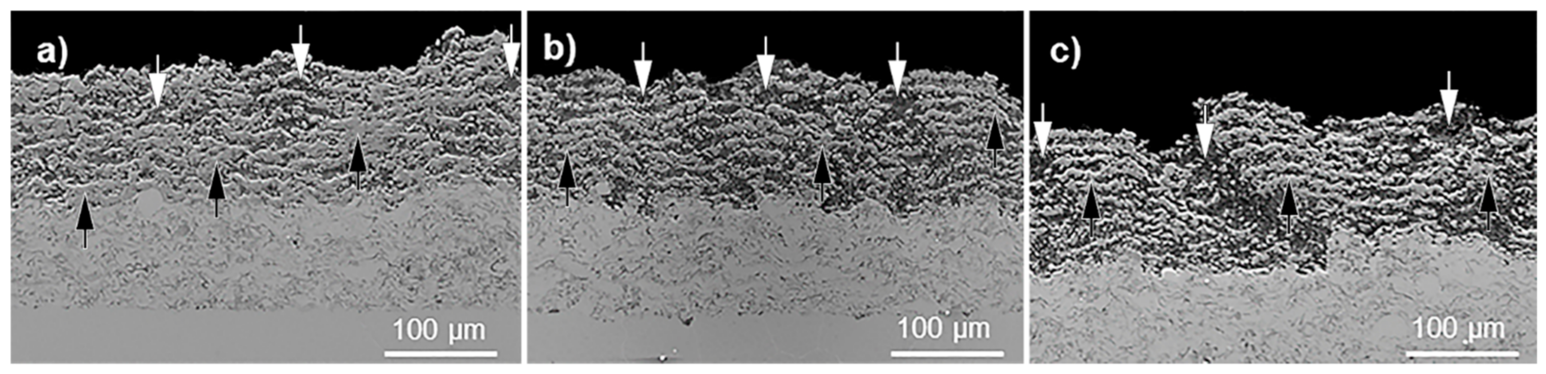 Coatings 11 00387 g002 Coatings 11 00387 g002