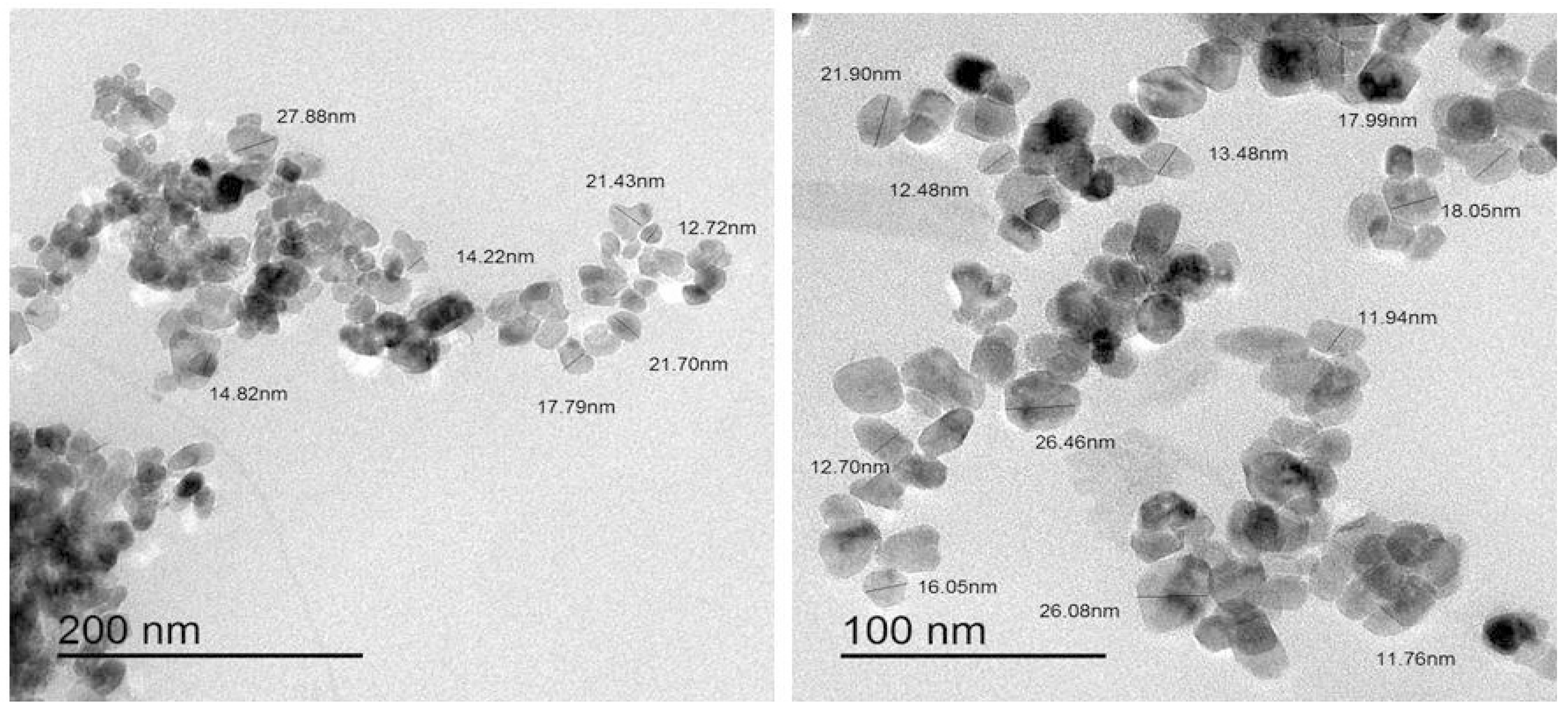 Coatings 11 00388 g007 Coatings 11 00388 g007