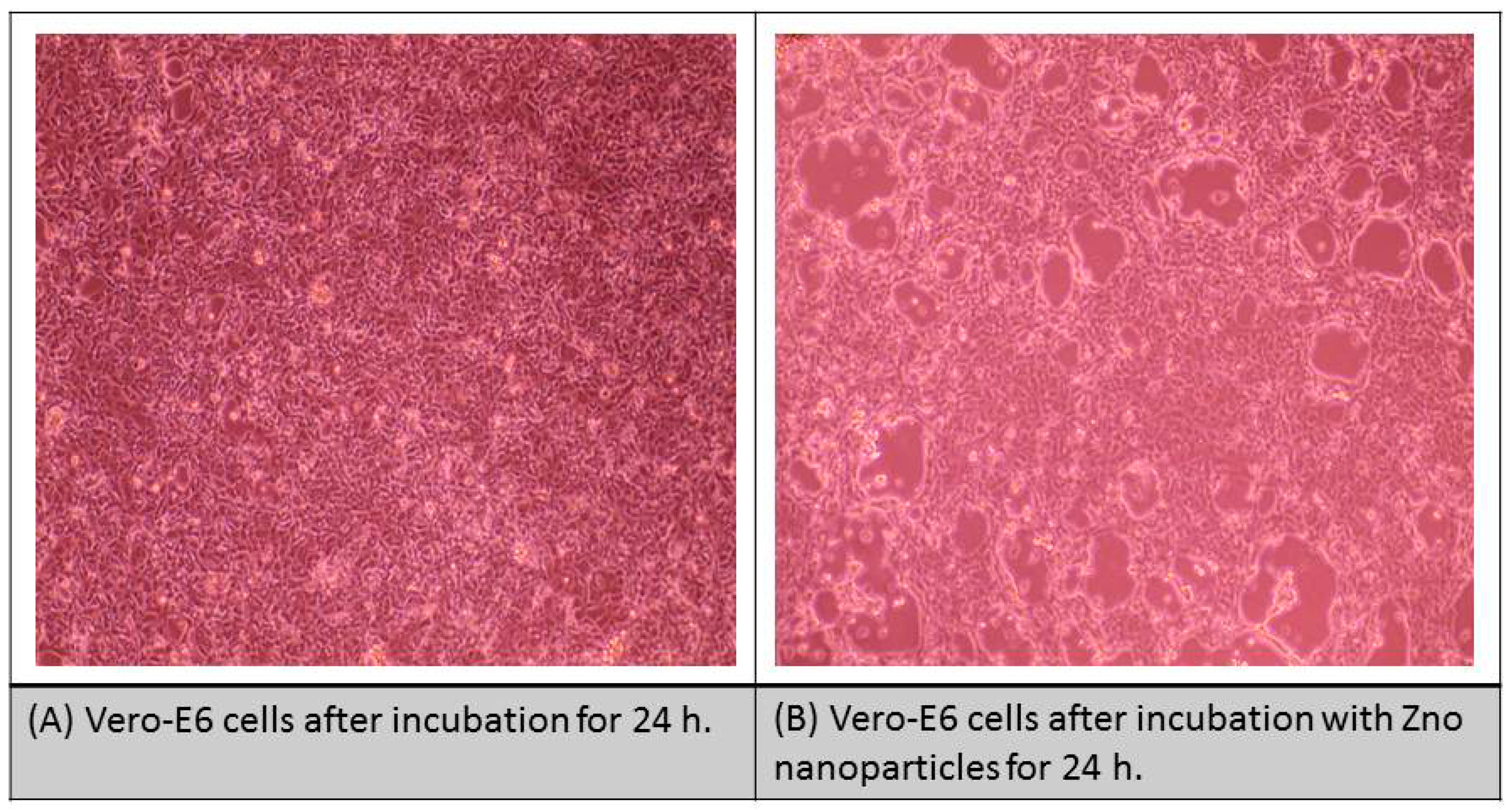 Coatings 11 00388 g010a Coatings 11 00388 g010a