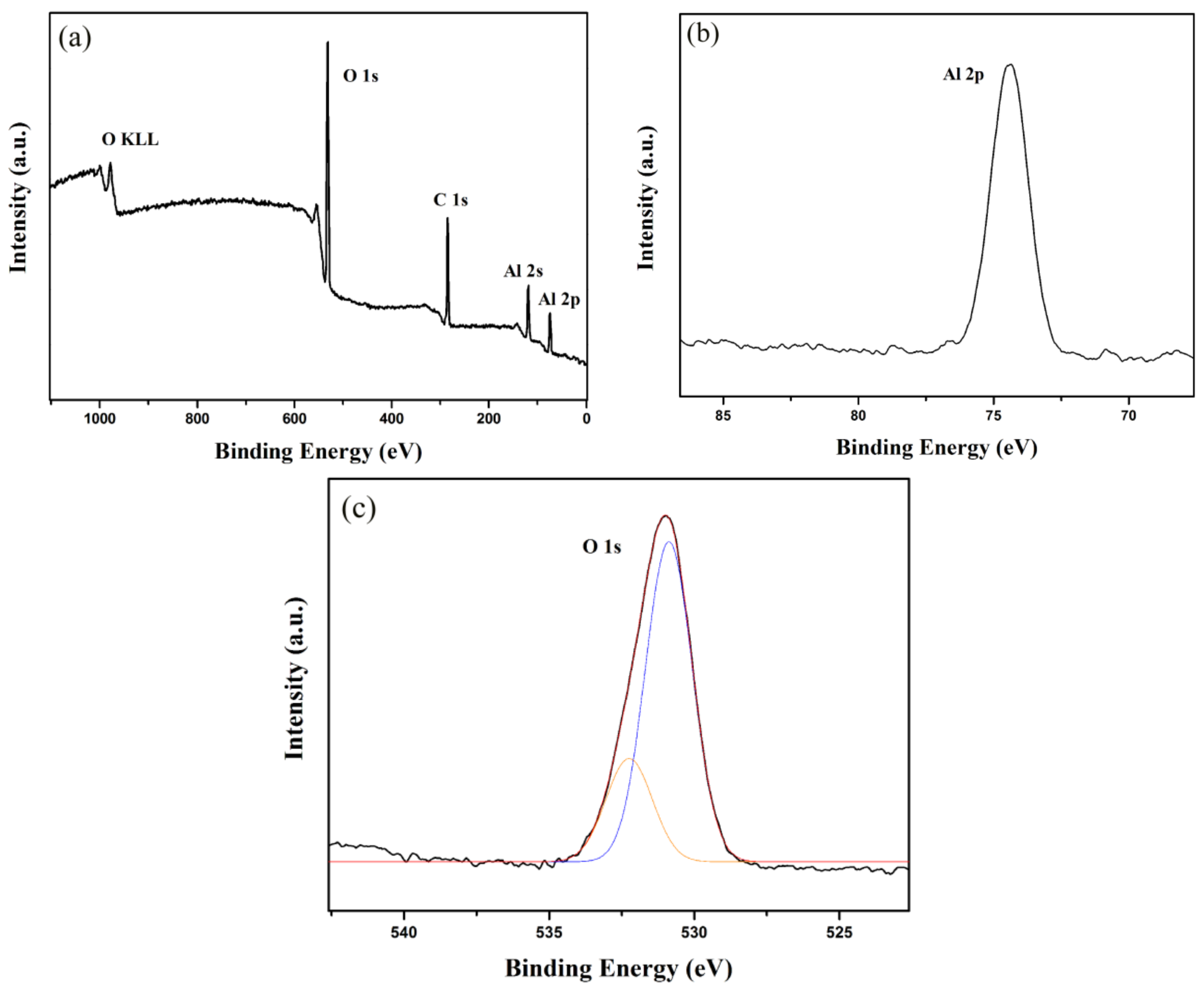 Coatings 11 00389 g001
