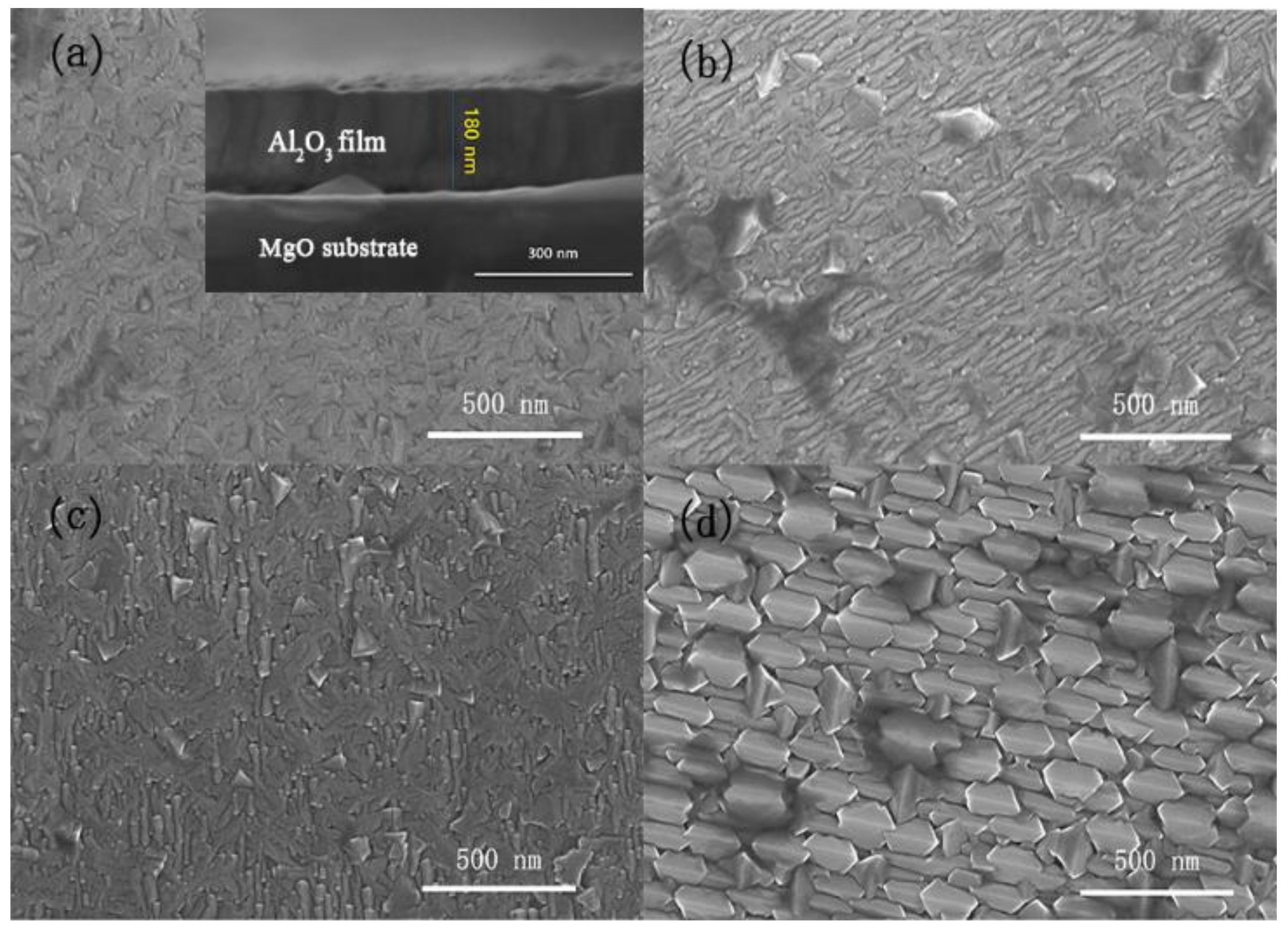 Coatings 11 00389 g004