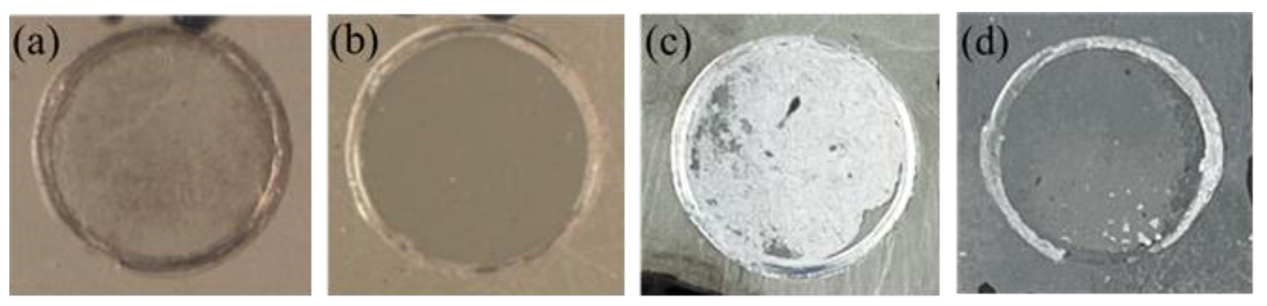 Coatings 11 00402 g004