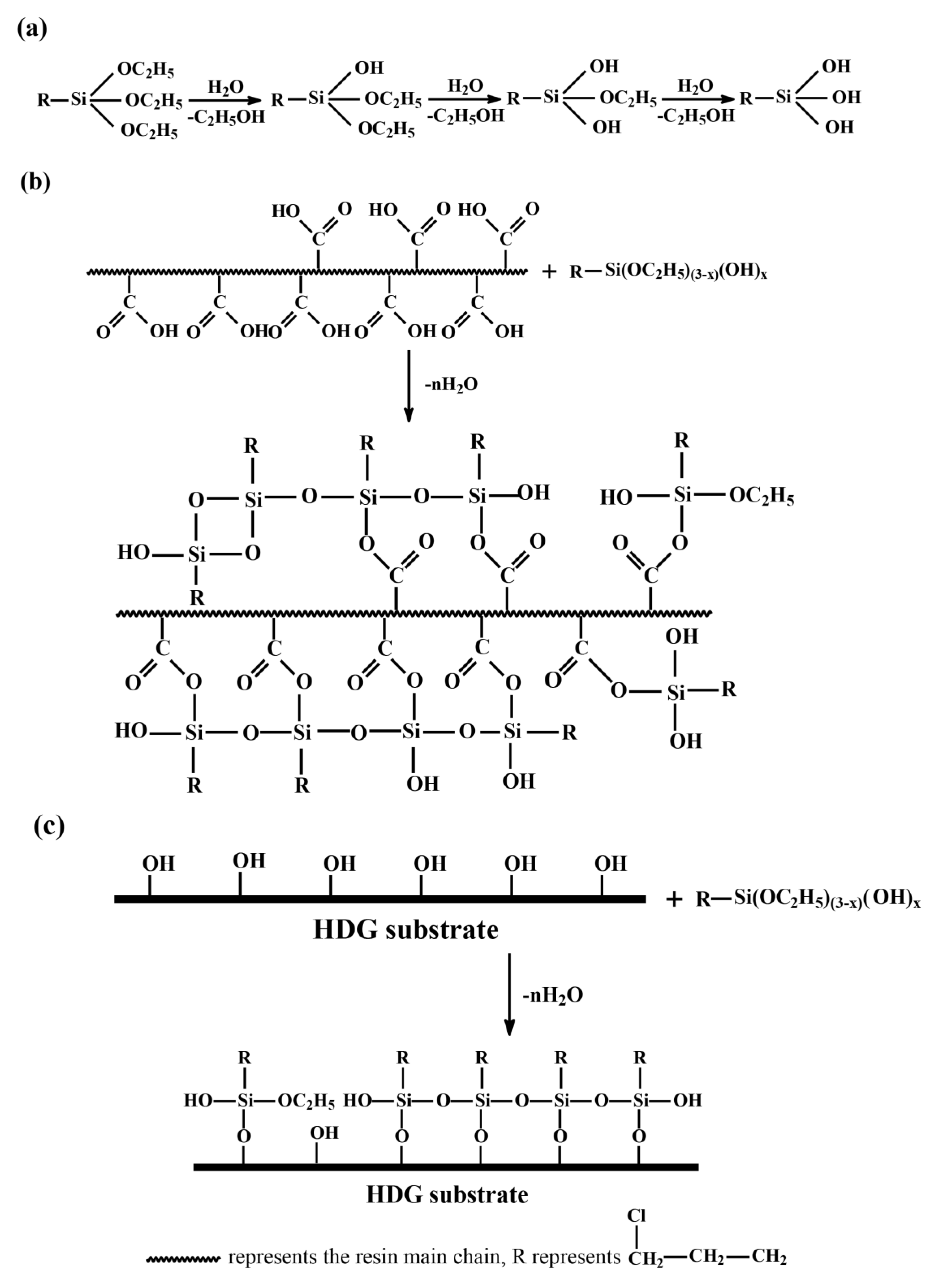 Coatings 11 00402 g005