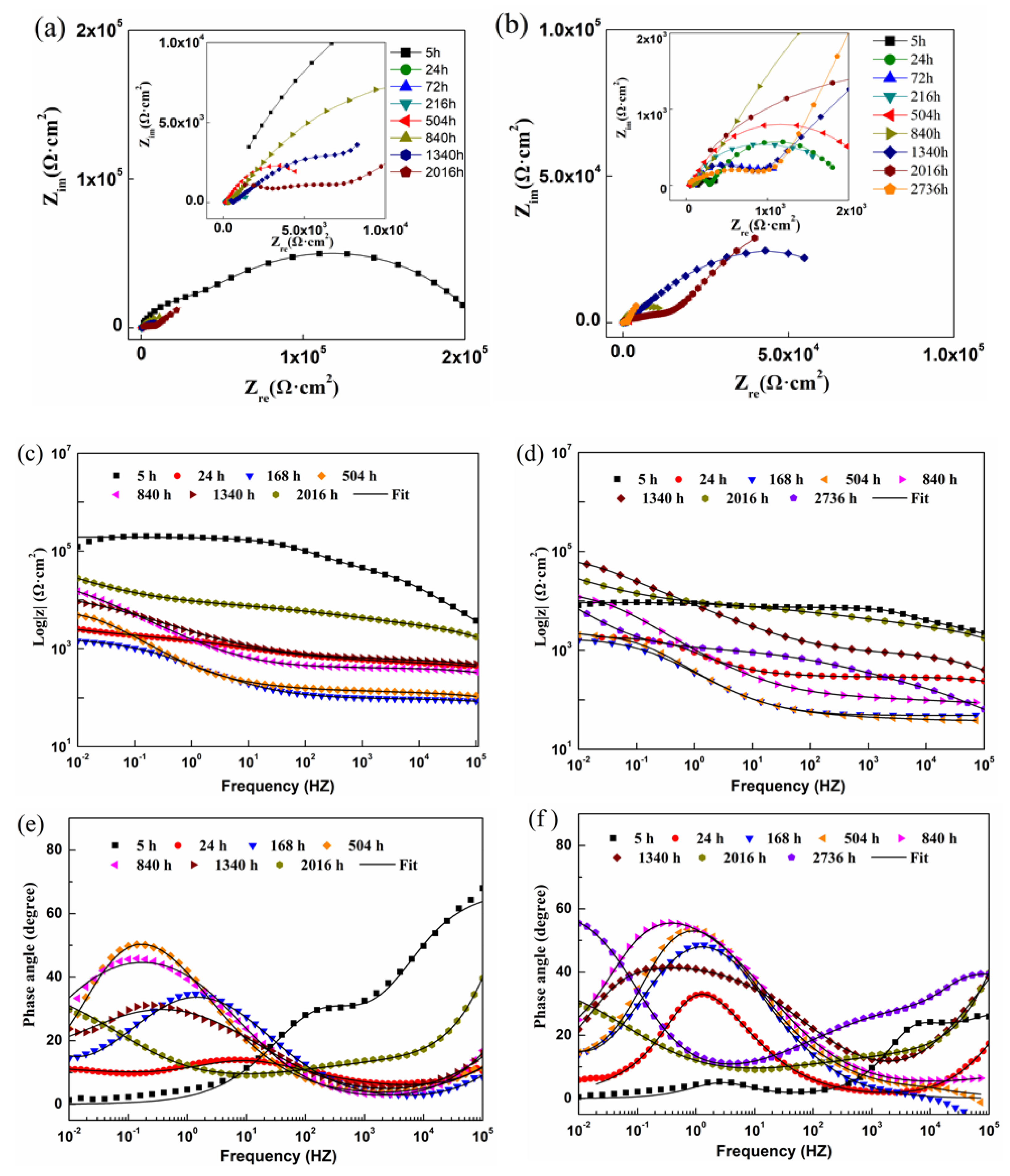 Coatings 11 00402 g008