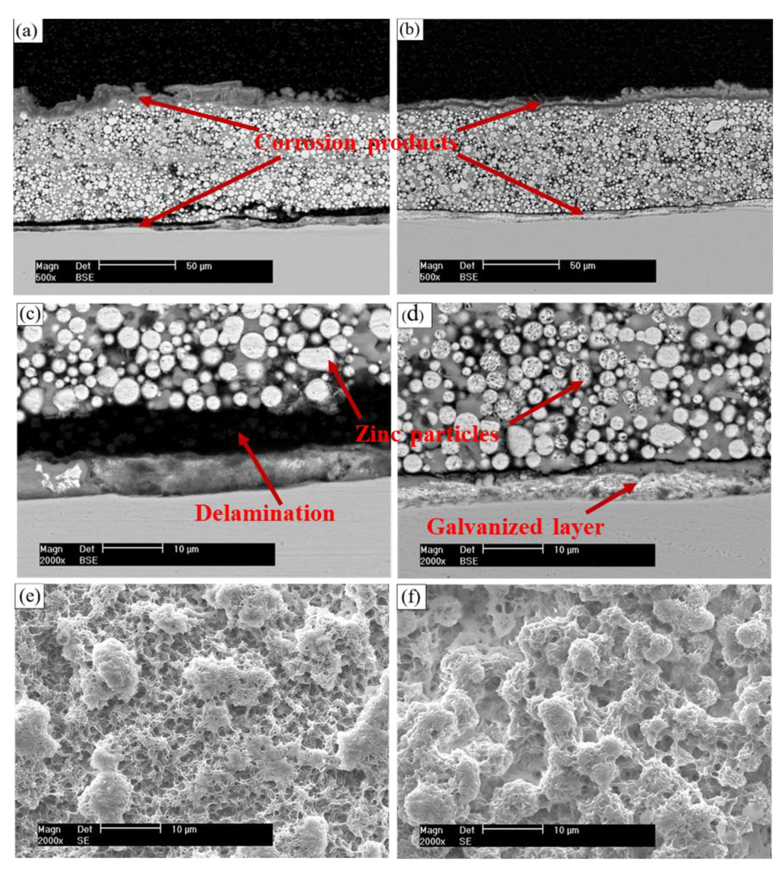 Coatings 11 00402 g009