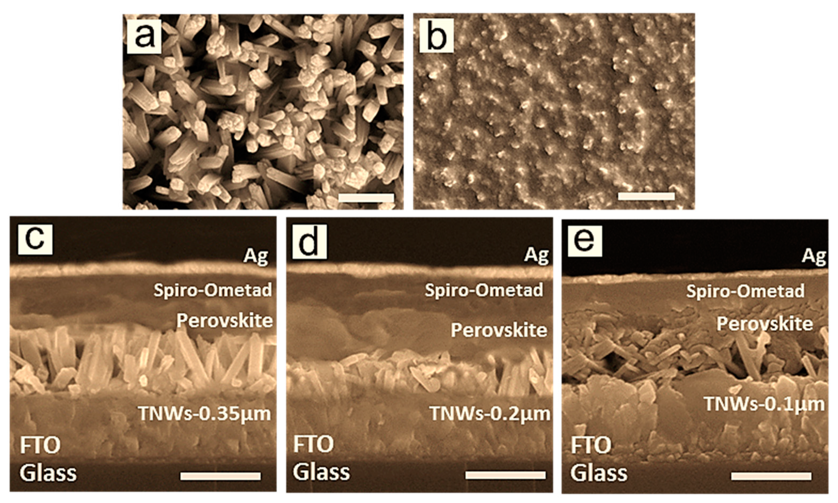 Coatings 11 00404 g002 Coatings 11 00404 g002