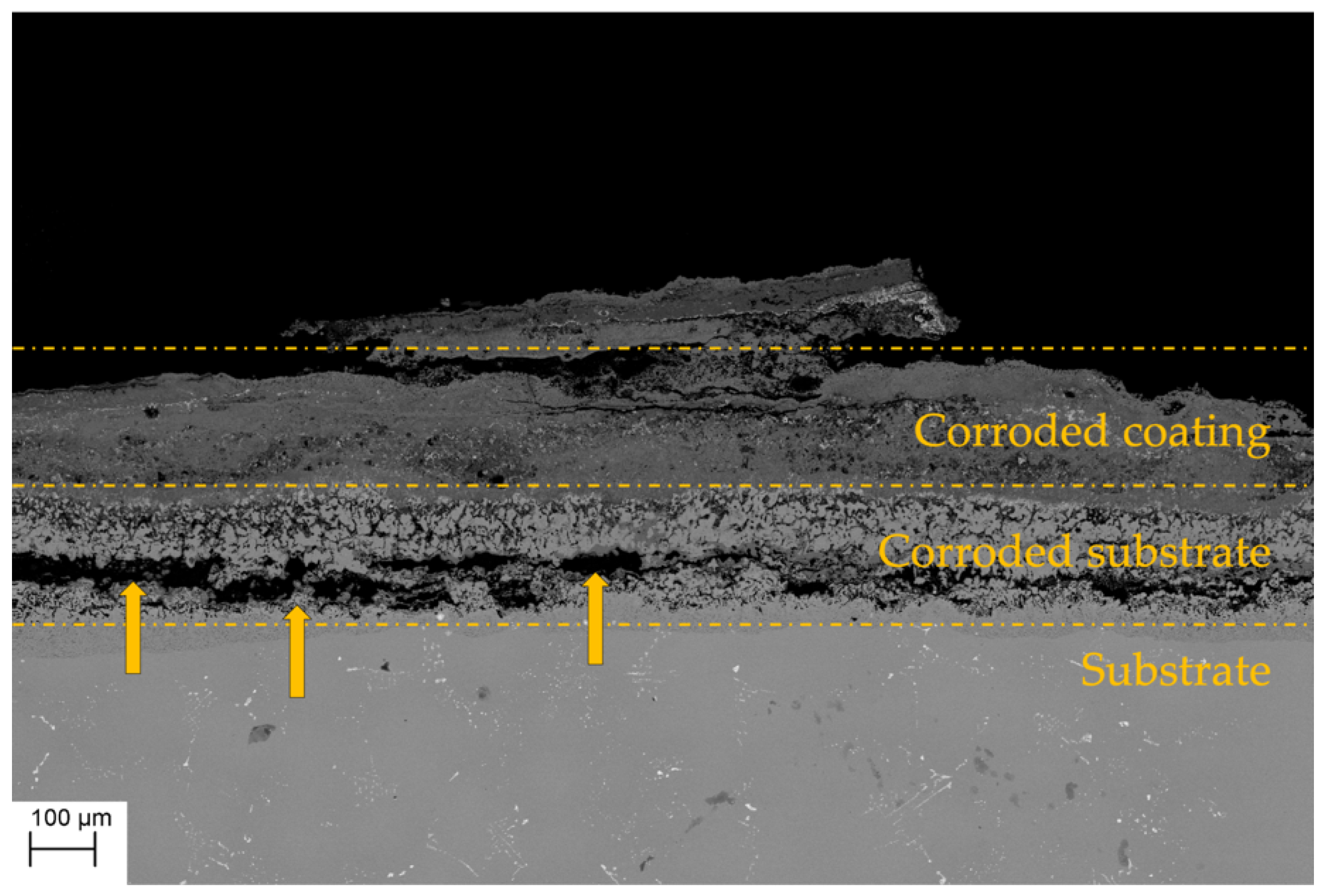 Coatings 11 00412 g011