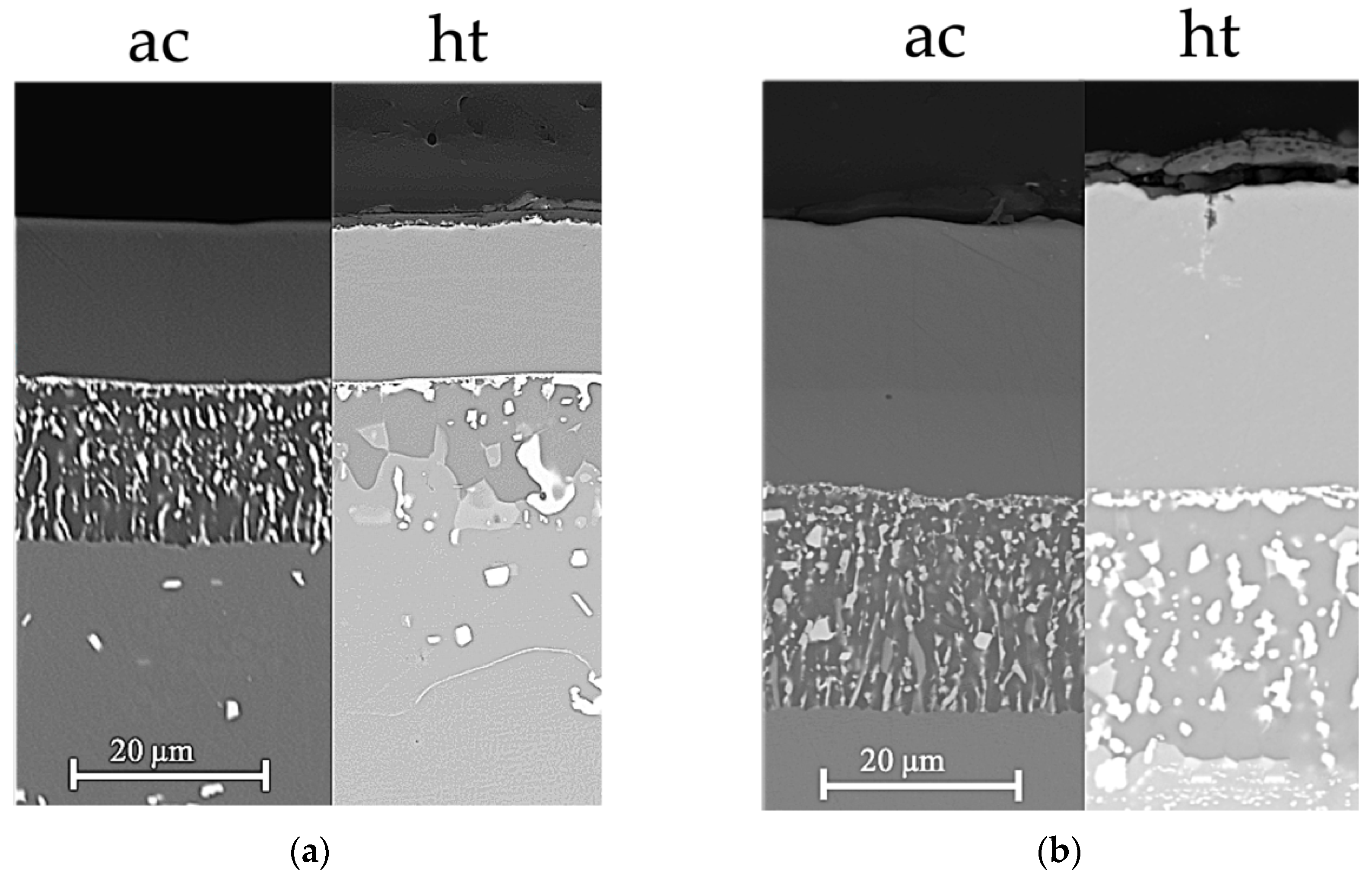Coatings 11 00412 g014