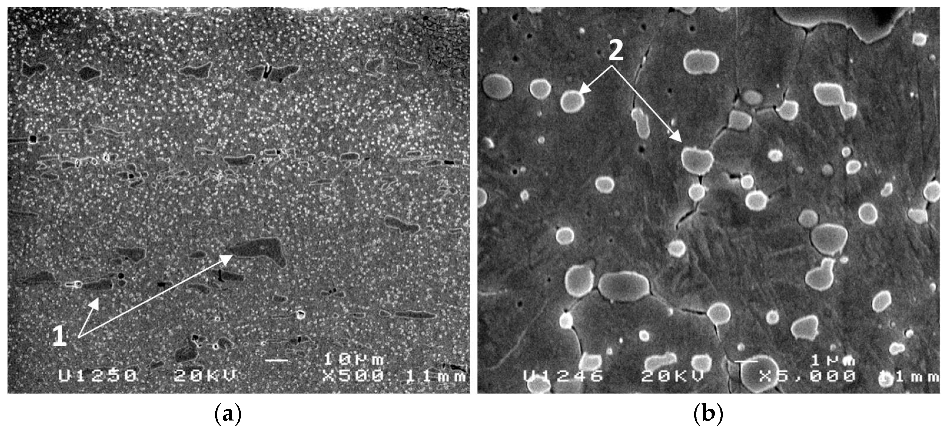 Coatings 11 00428 g002 Coatings 11 00428 g002