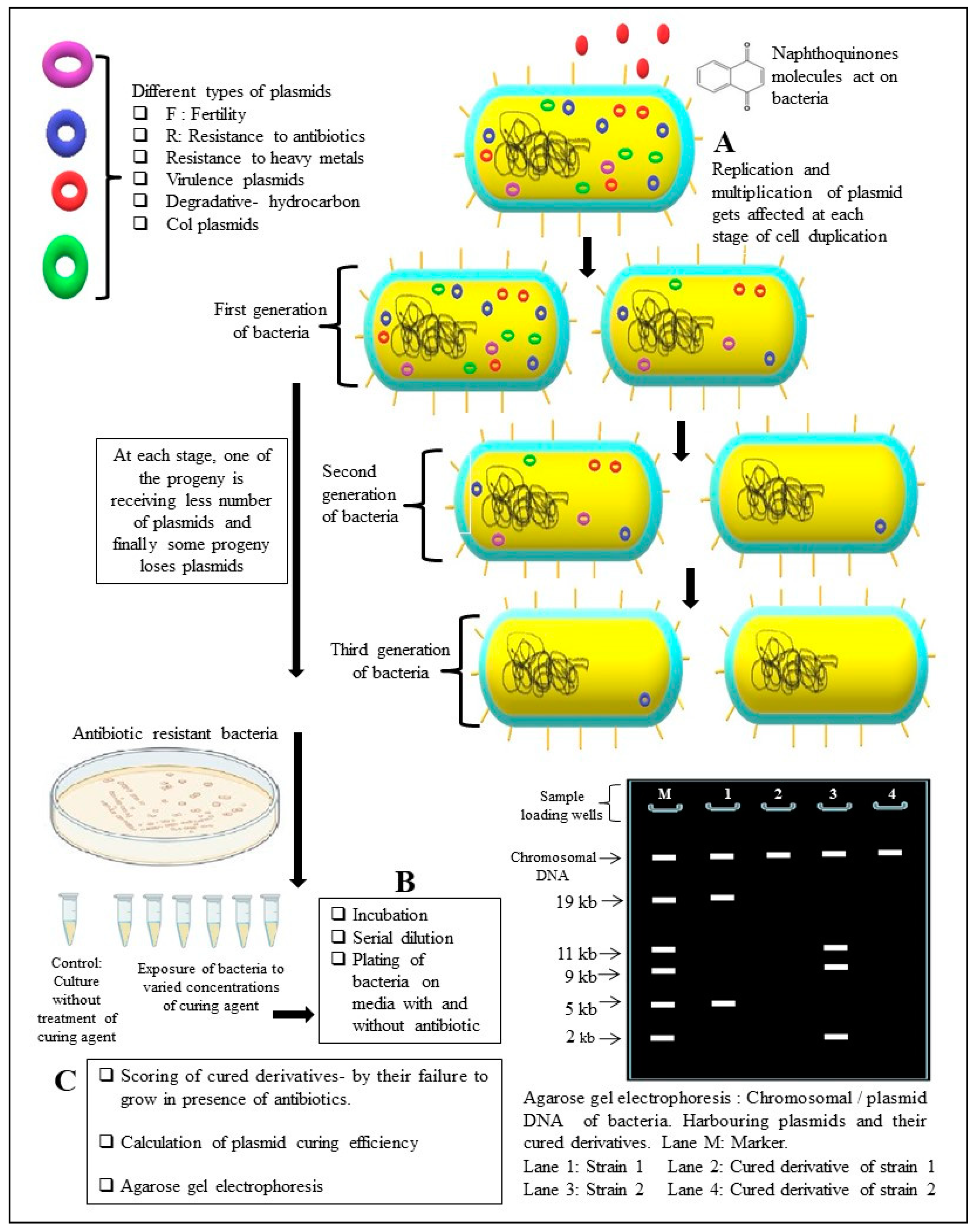 Coatings 11 00434 g003