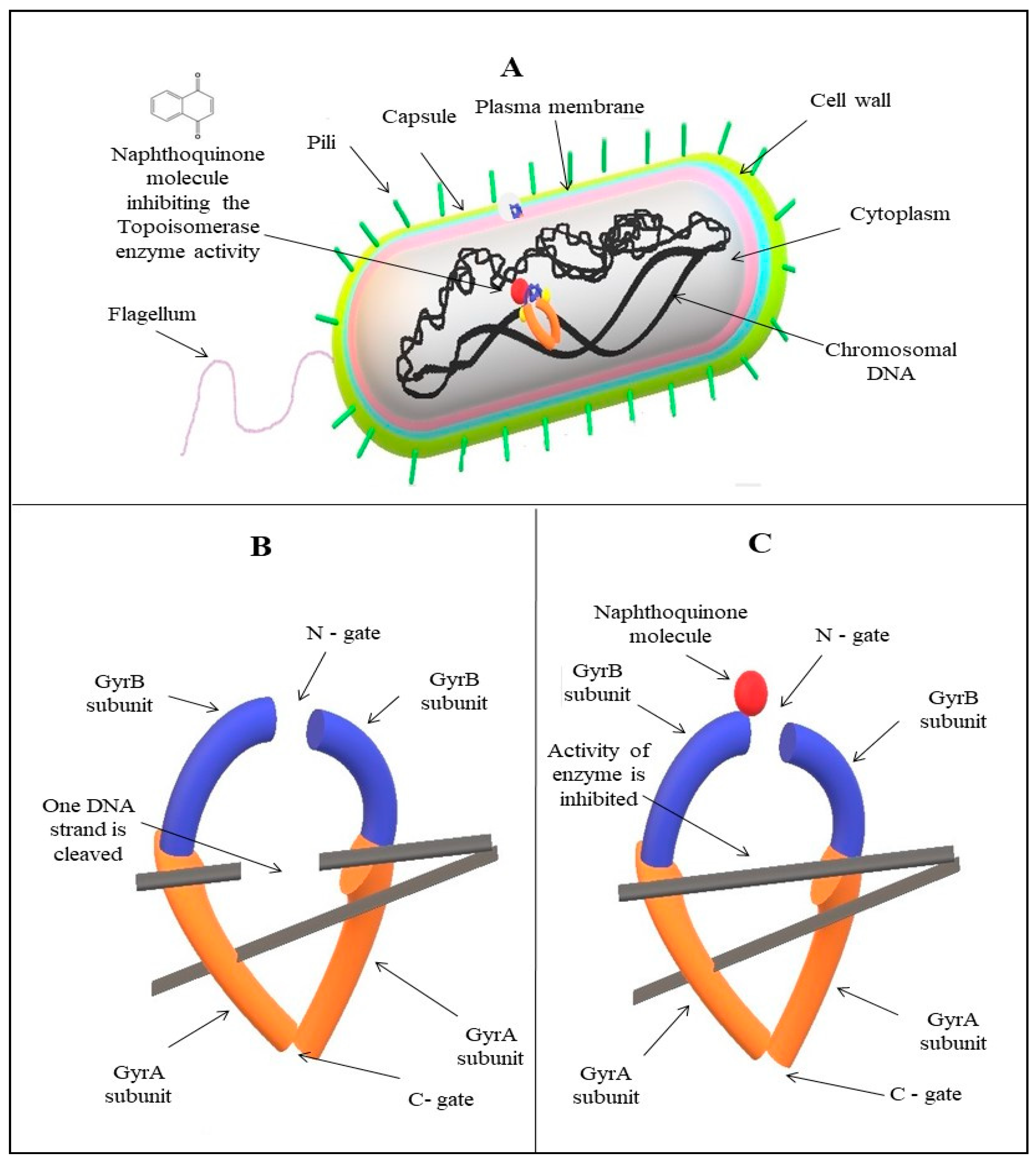 Coatings 11 00434 g006
