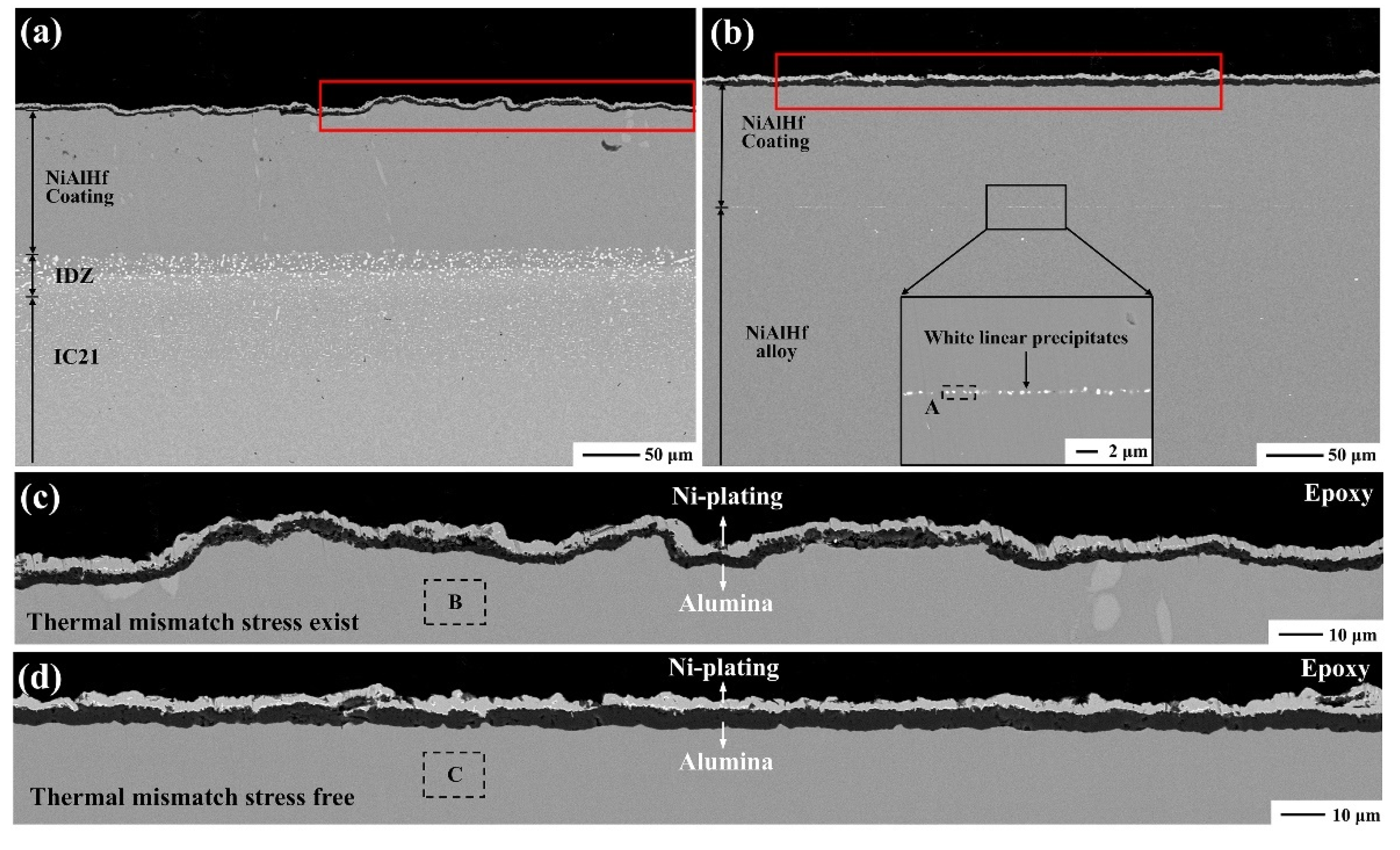 Coatings Free Full Text Internal Factors Affecting The Surface Rumpling Of A B Nialhf Coating Html