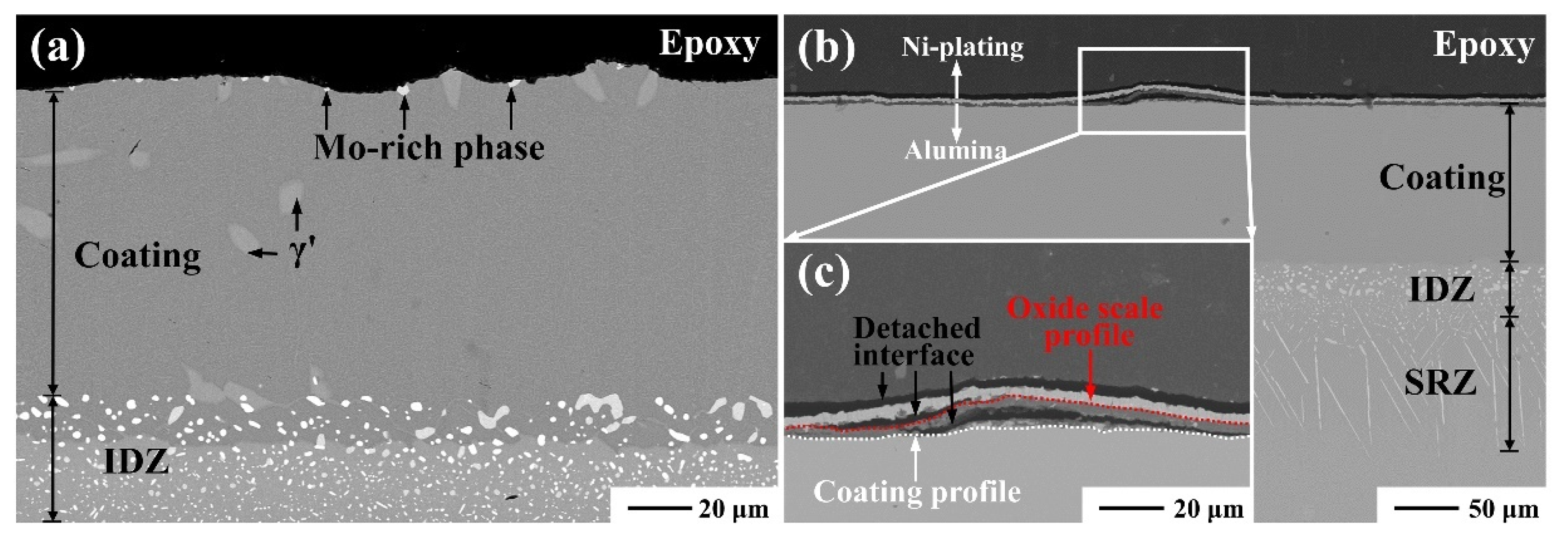Coatings 11 00436 g006