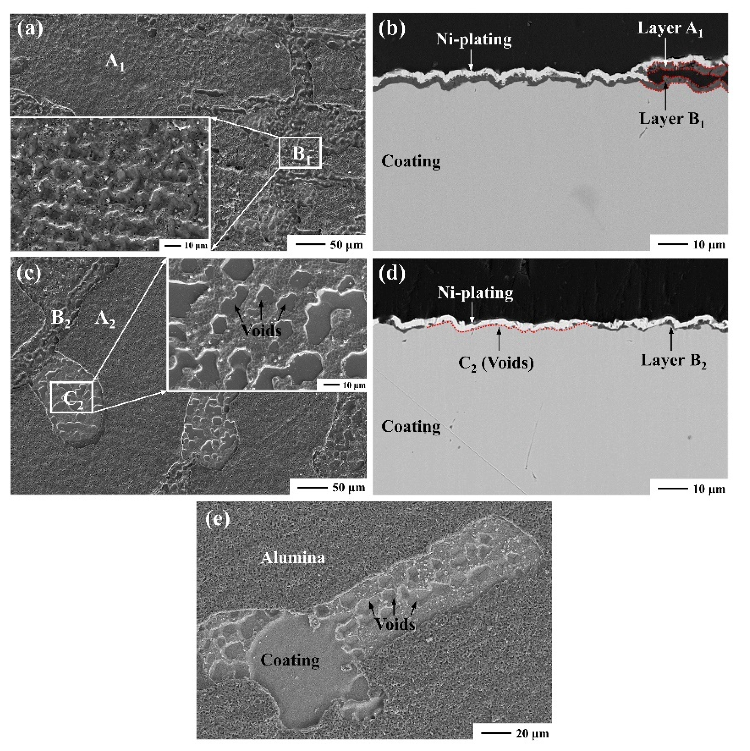 Coatings 11 00436 g007