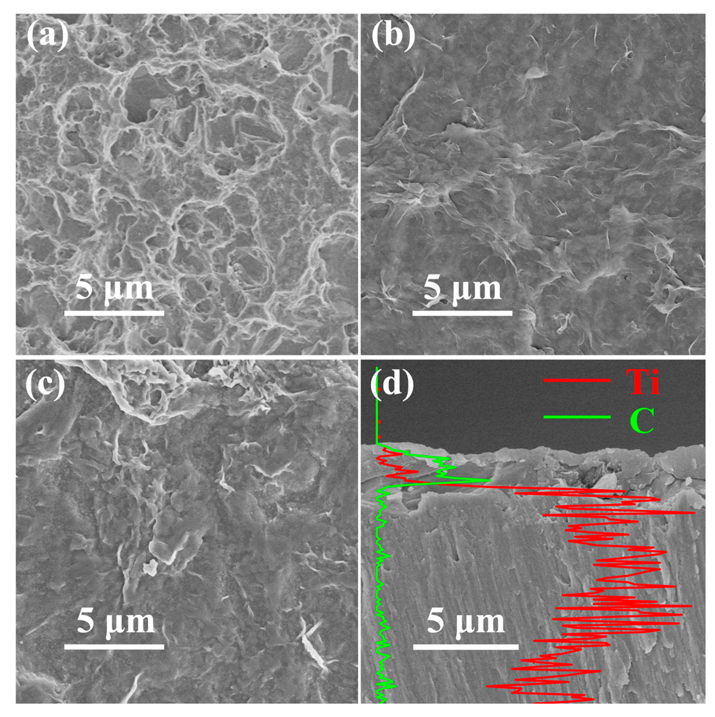 Coatings 11 00437 g002