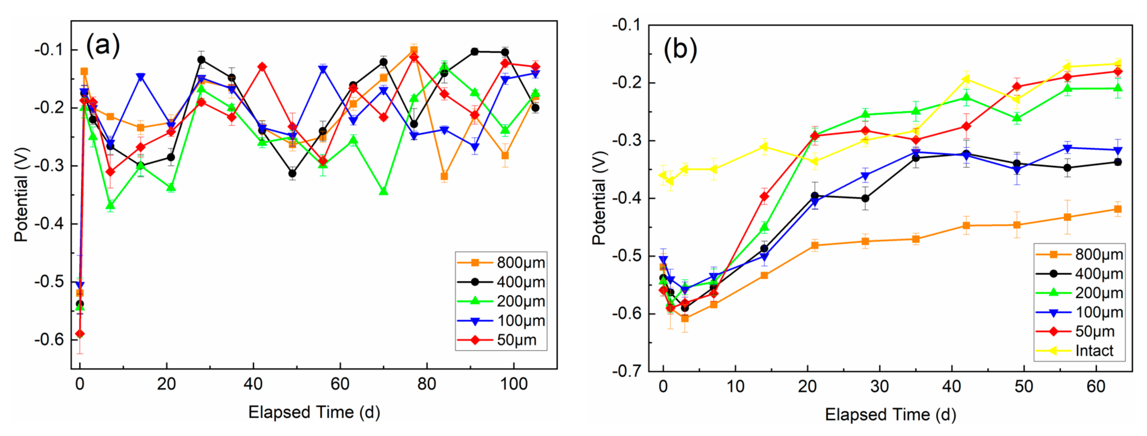 Coatings 11 00439 g003