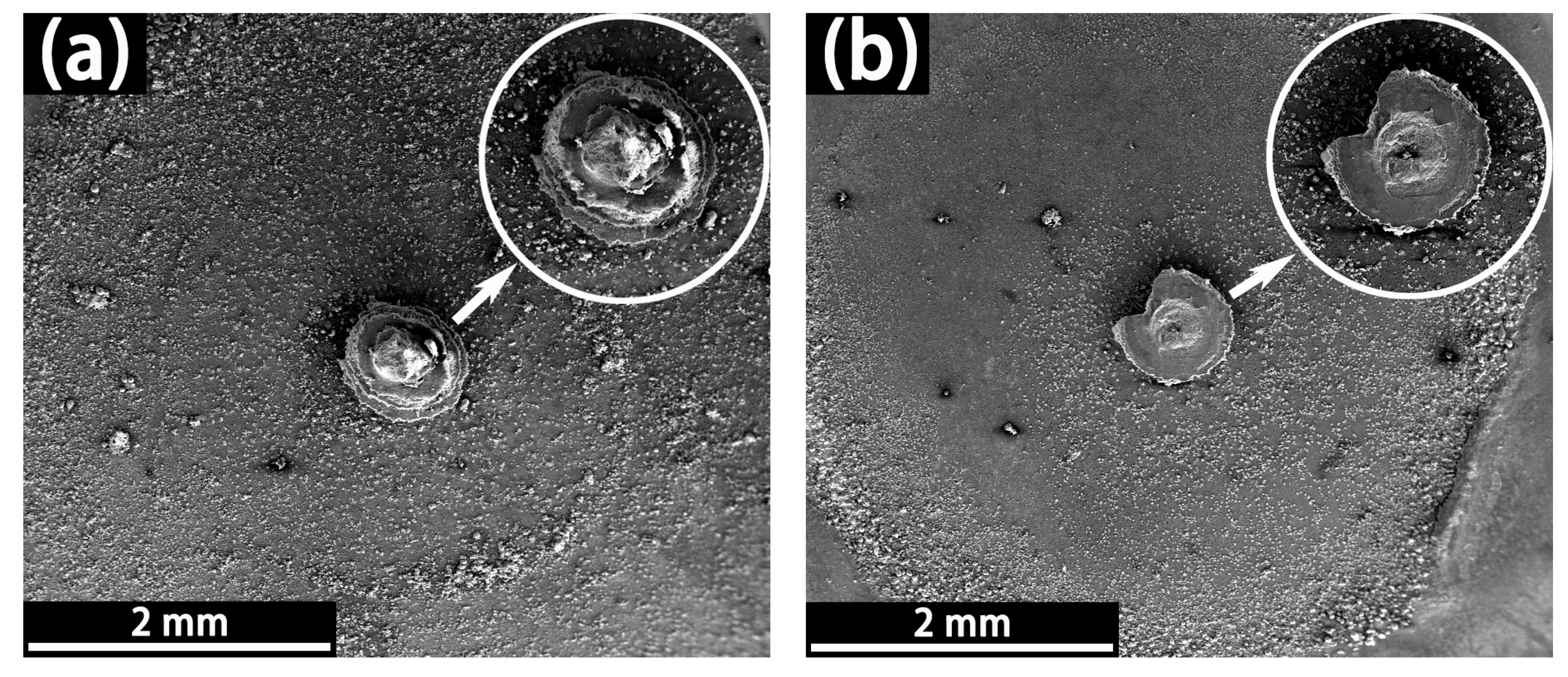 Coatings 11 00439 g014a