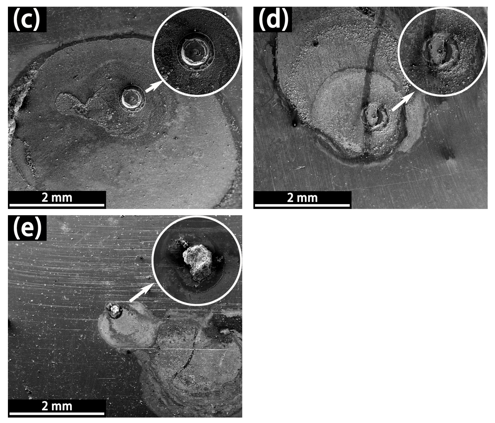 Coatings 11 00439 g014b